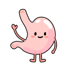 Gerty Gut icon - A Health Studies 4 Kids character